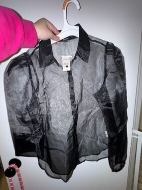 Express Black Sheer Button-Down Blouse